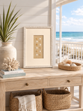 Beach Shells