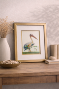 Pelican with Kingfisher